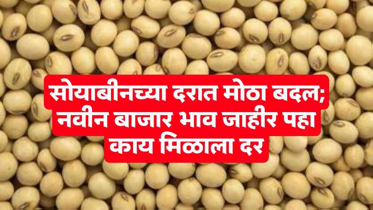 Soybean market price