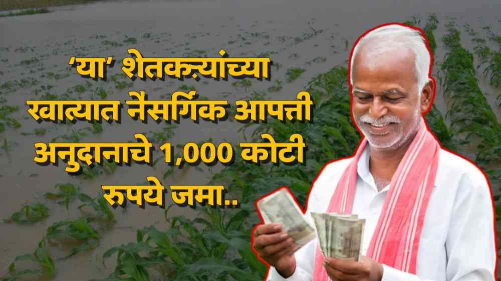 Niasargik Aapati Anudan