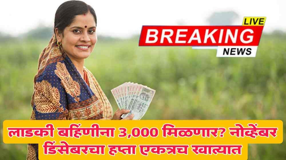 Government Scheme Update