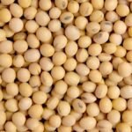 Soybean market price
