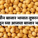 Soybean Bajar Bhav