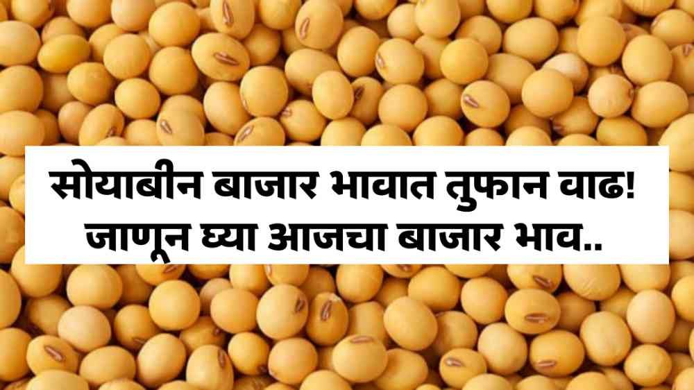 Soybean Bajar Bhav