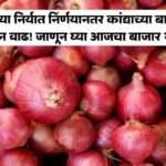 Onion Market Price