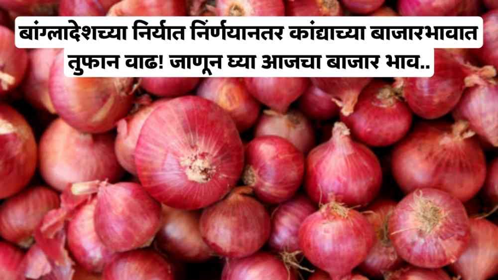 Onion Market Price